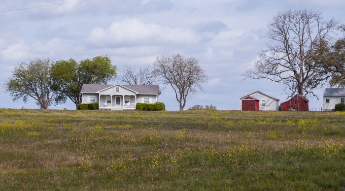 Home Along the Roadside