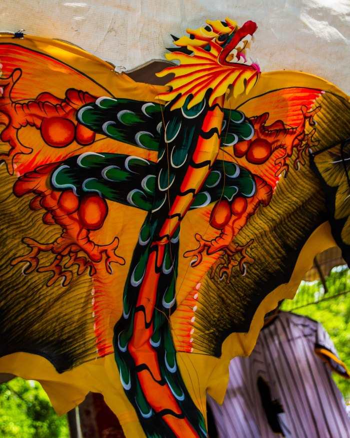 2013 Japan Festival-1-2