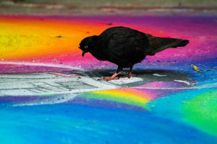 Interested art critic